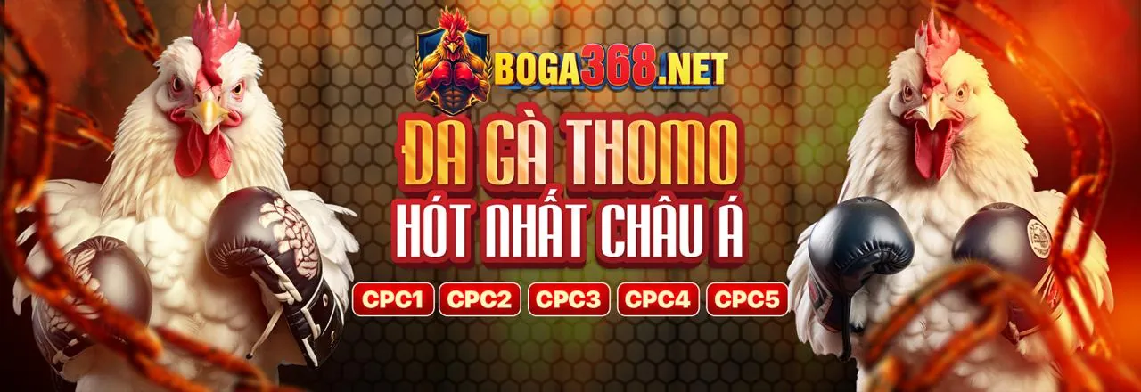 trường gà quốc tế savan: Nền Tảng Đá Gà Trực Tuyến Hàng Đầu 🏆