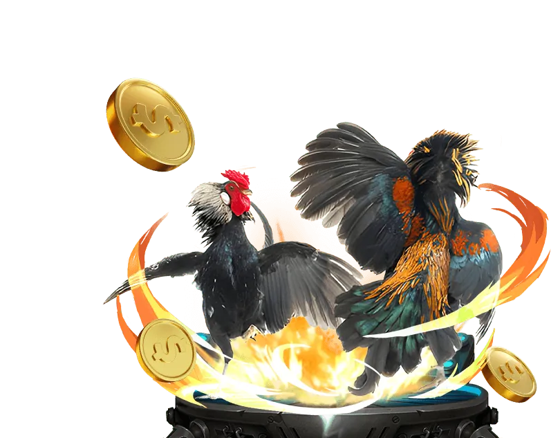 Lịch sử và văn hóa chọi gà Savan