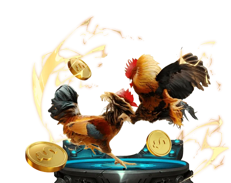 Biểu tượng bảo mật và an toàn tại trường gà quốc tế savan